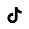 TikTok icon